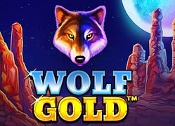 Wolf G Casino Game  Lucky Fox Casino Online Canada