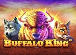 Buffalo King Casino Slot  Lucky Fox Casino Online Canada