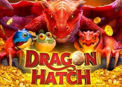 Dragon Hatch Casino Game  Lucky Fox Casino Online Canada