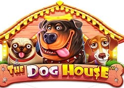 Dog House Casino Game  Lucky Fox Casino Online Canada