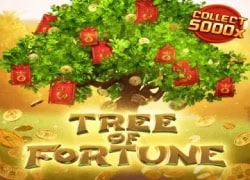 Three of Fortune Casino Game  Lucky Fox Casino Online Canada